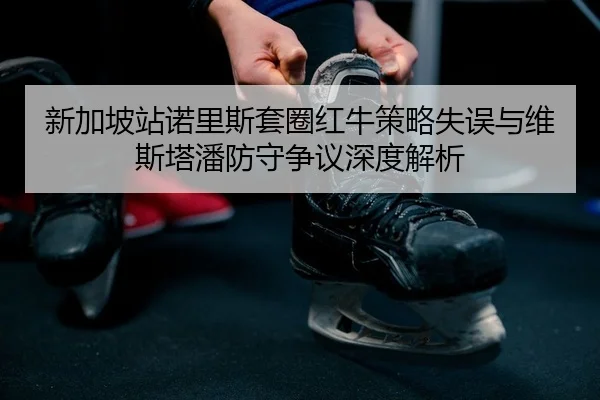 xin-jia-po-zhan-nuo-li-si-tao-quan-hong-niu-ce-lve-shi-wu-yu-wei-si-ta-pan-fang-shou-zheng-yi-shen-du-jie-xi-2-281.jpg